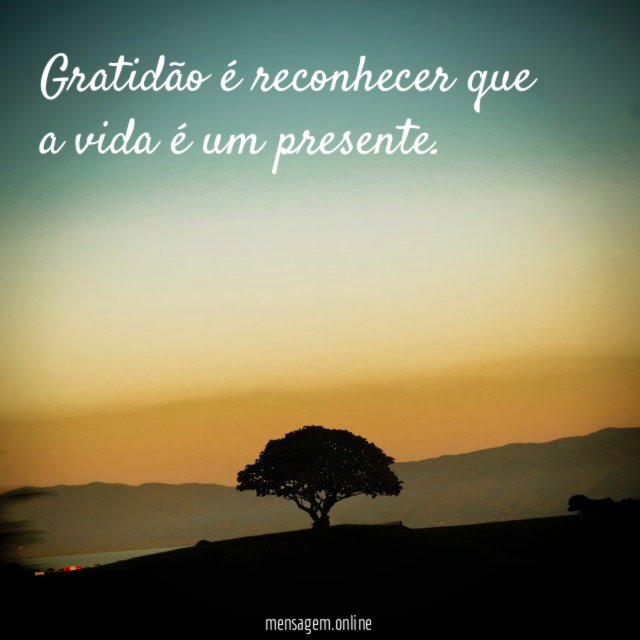 Gratidão é reconhecer que a vida é um presente