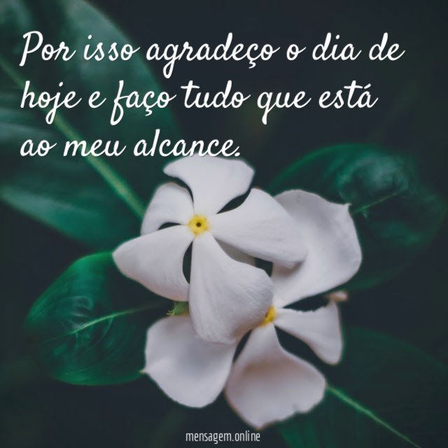 Por isso agradeço o dia de hoje