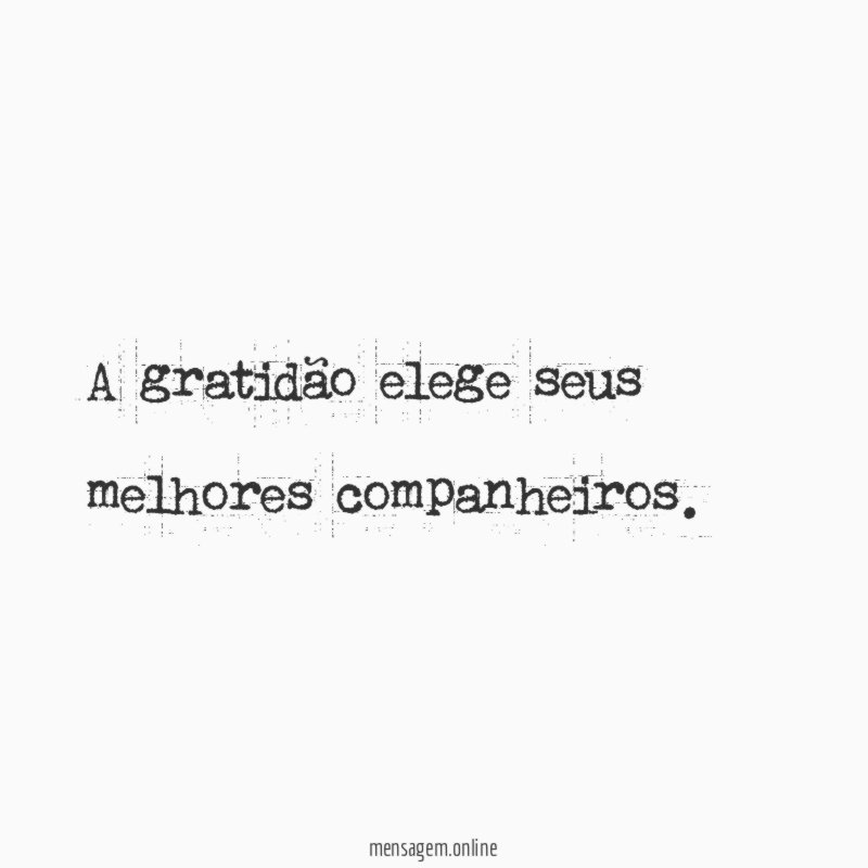 A gratidão elege seus melhores companheiros