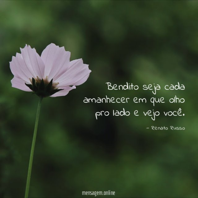 Bendito seja cada amanhecer em que olho pro lado e vejo você