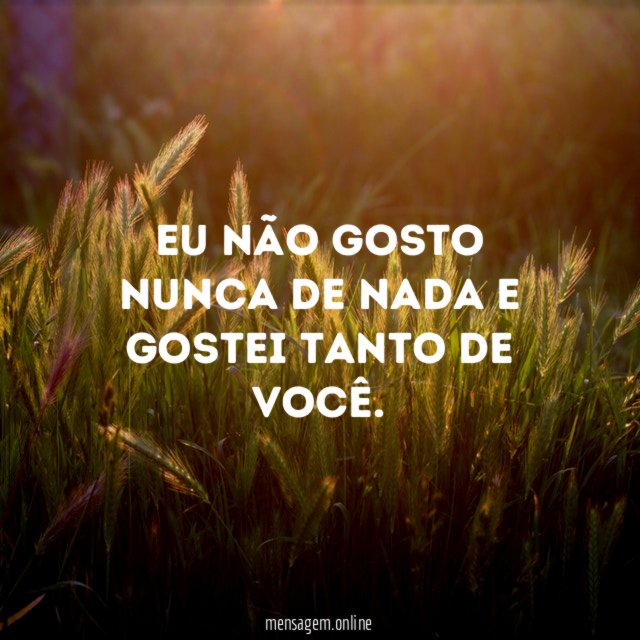Eu não gosto nunca de nada e gostei tanto de você