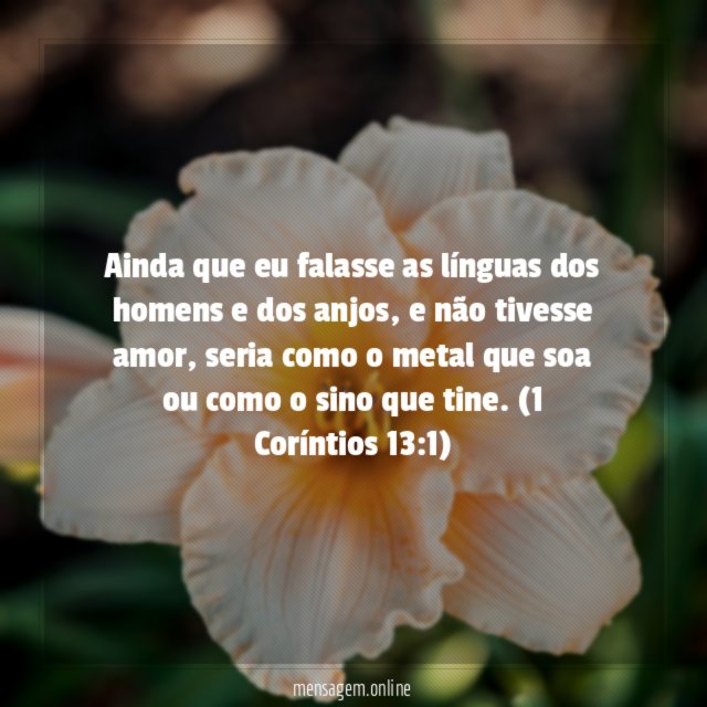 Ainda que eu falasse as línguas dos homens e dos anjos