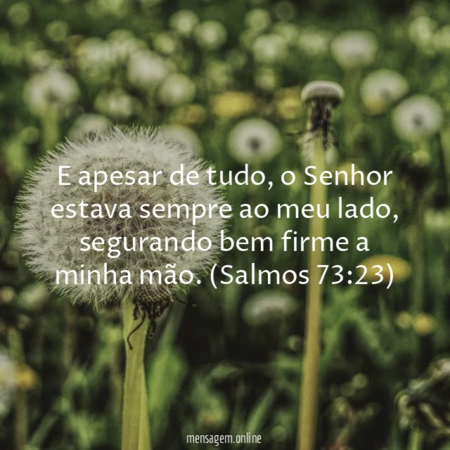 E apesar de tudo
