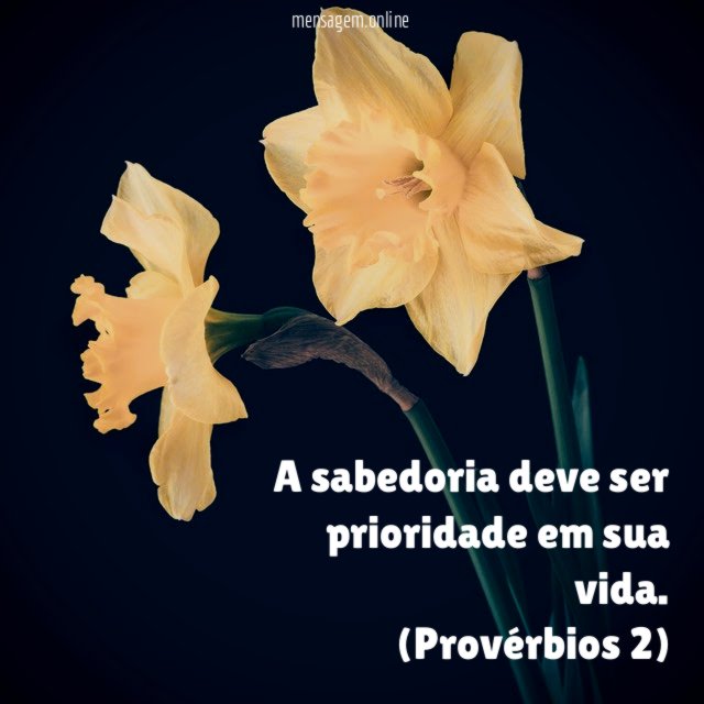 A sabedoria deve ser prioridade em sua vida