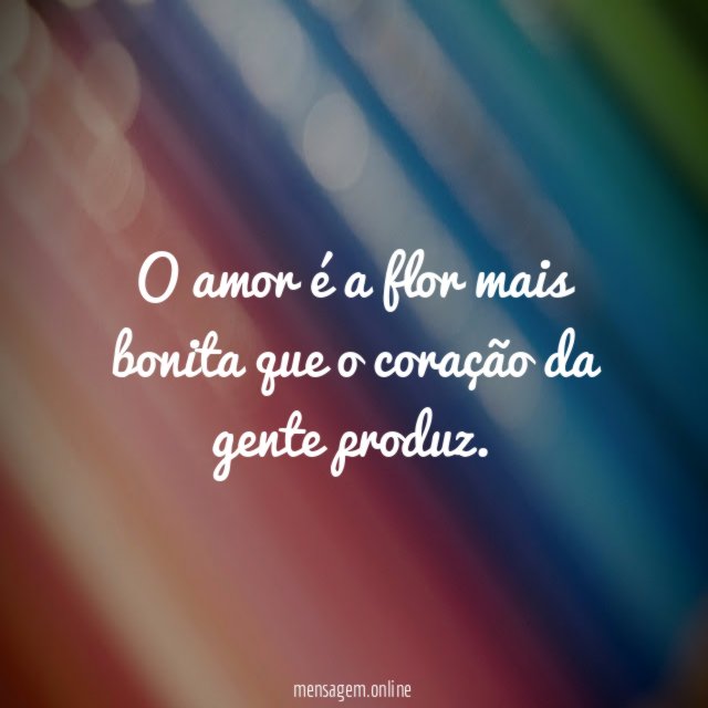 O amor é a flor mais bonita que