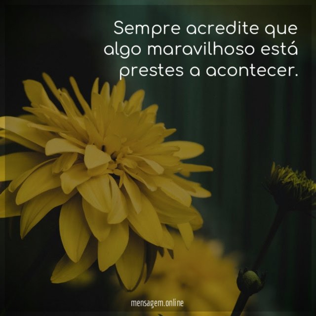 Sempre acredite que algo maravilhoso está prestes a acontecer