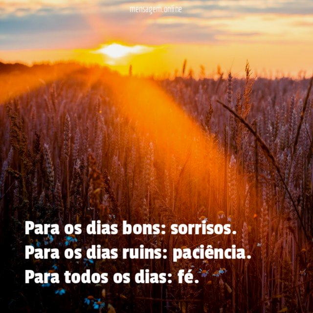Para os dias bons