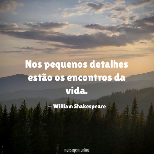 Nos pequenos detalhes estão os encontros da vida