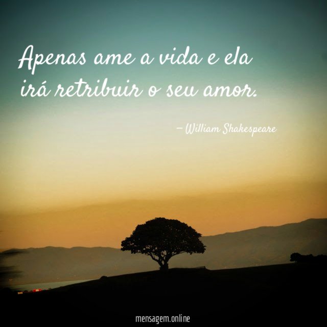 Apenas ame a vida e ela irá retribuir o seu amor