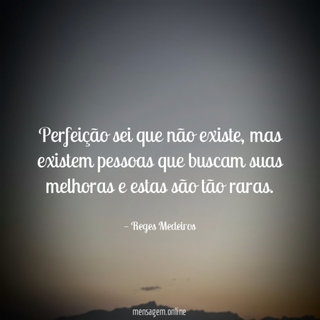 Perfeição sei que não existe