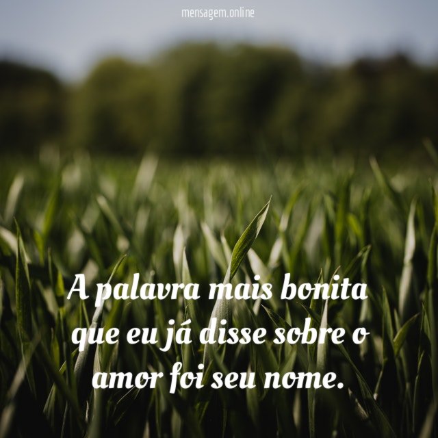 A palavra mais bonita que eu já disse