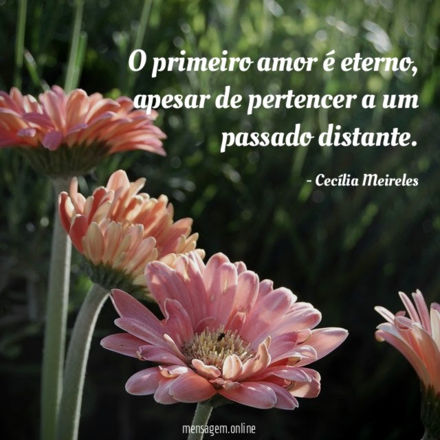 O primeiro amor é eterno