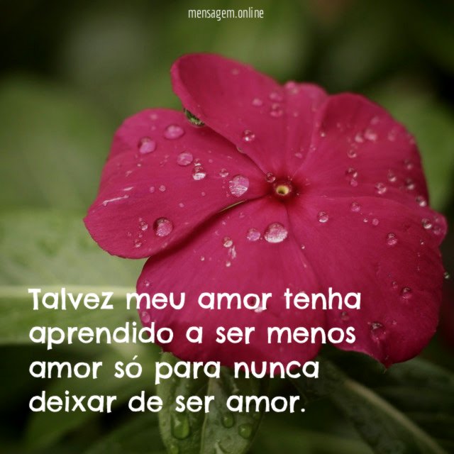 Talvez meu amor tenha aprendido a ser menos