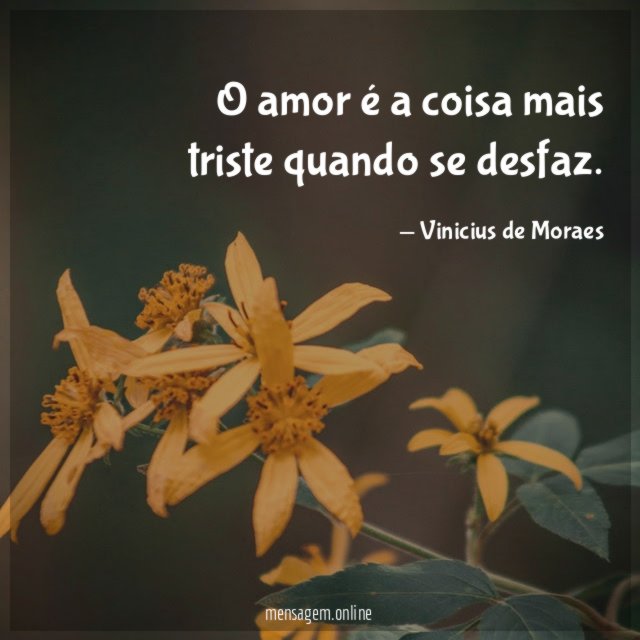O amor é a coisa mais triste quando se desfaz