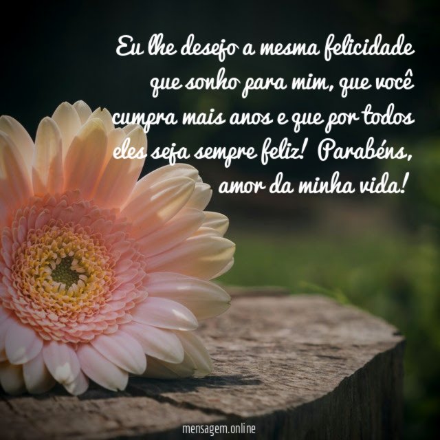 Eu lhe desejo a mesma felicidade que sonho para mim