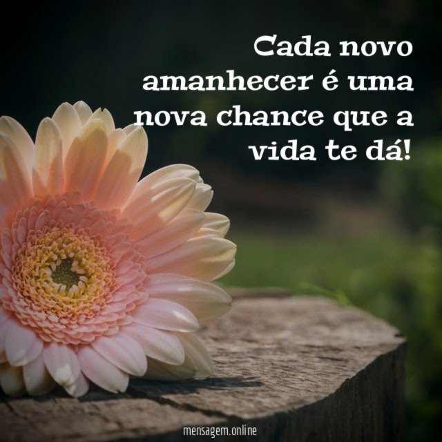 Cada novo amanhecer é uma nova chance que a vida te dá