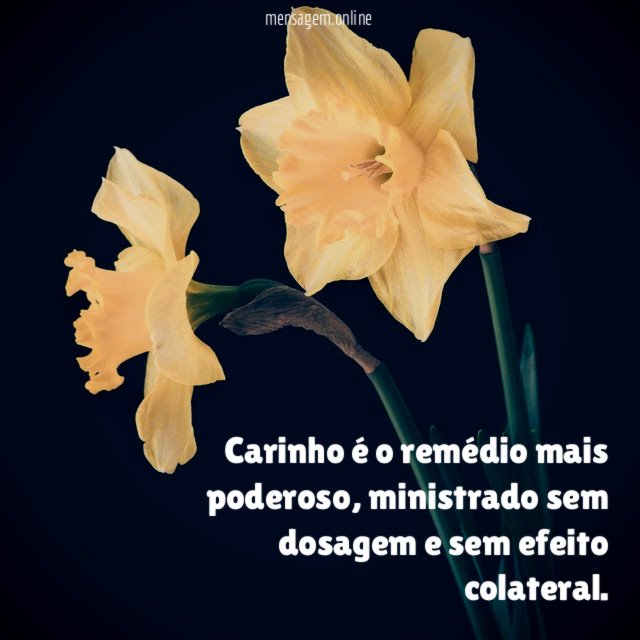 Carinho é o remédio mais poderoso
