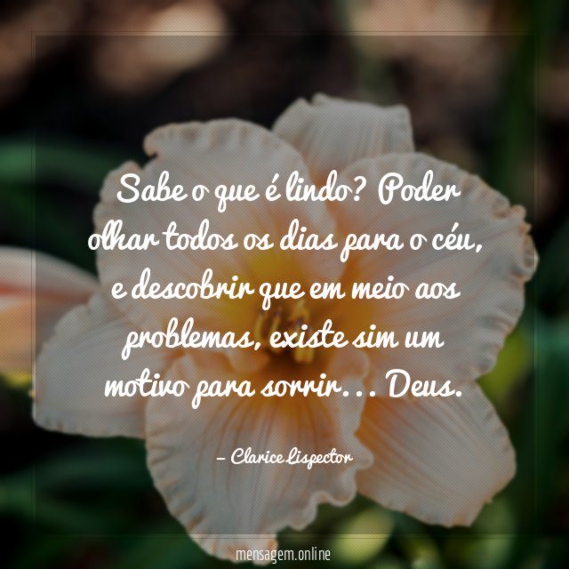 Sabe o que é lindo