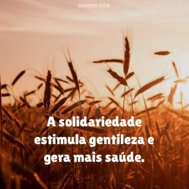 A solidariedade estimula gentileza e gera mais saúde