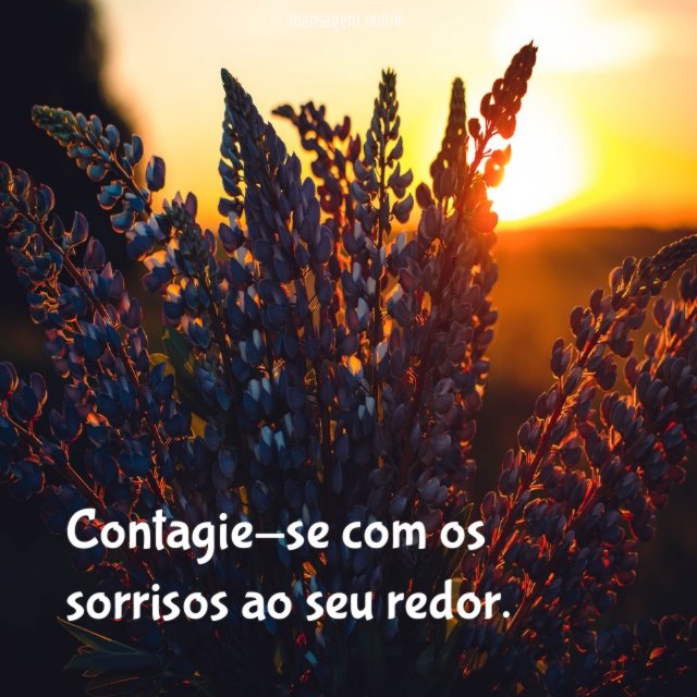 Contagie-se com os sorrisos ao seu redor