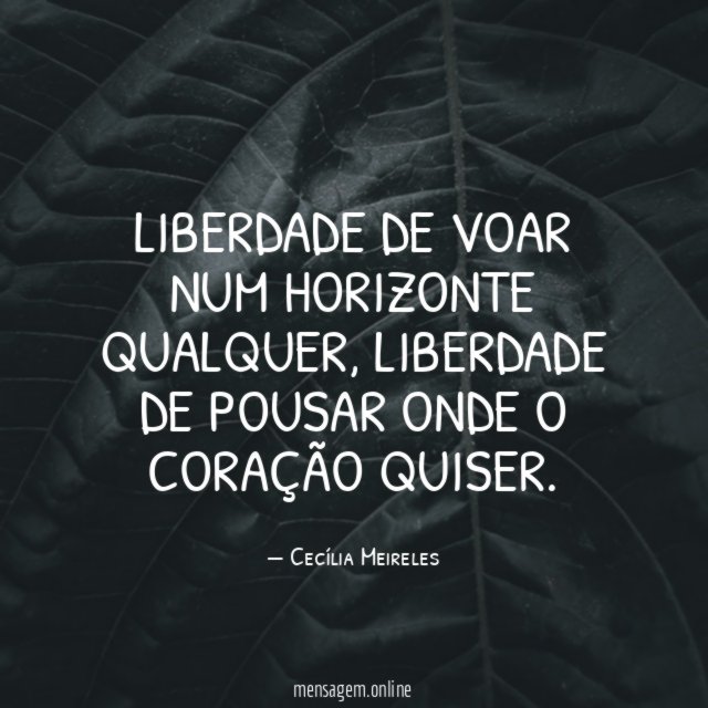 Liberdade de voar num horizonte qualquer
