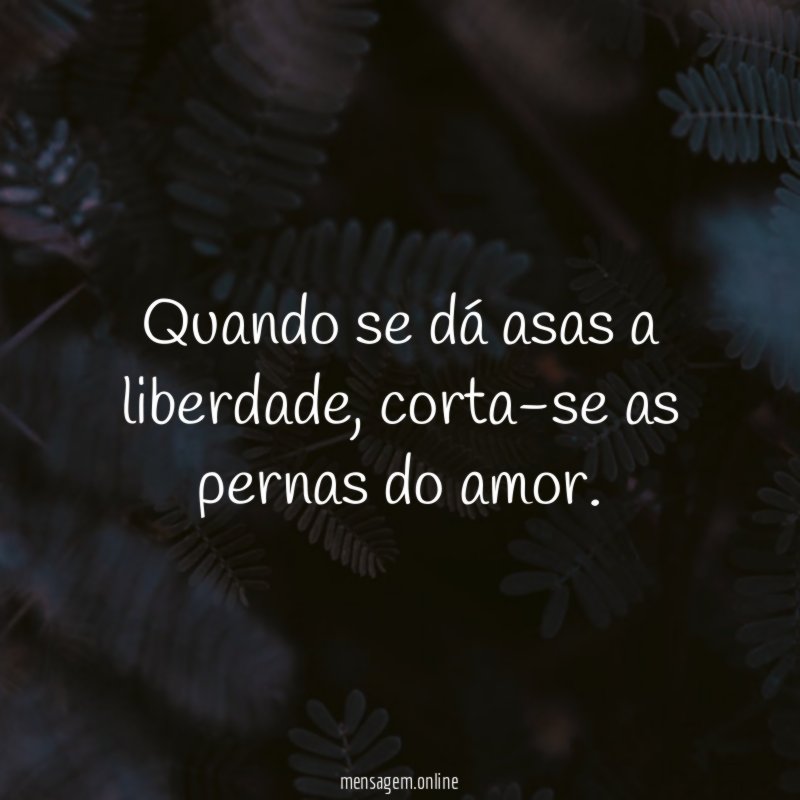 Quando se dá asas a liberdade