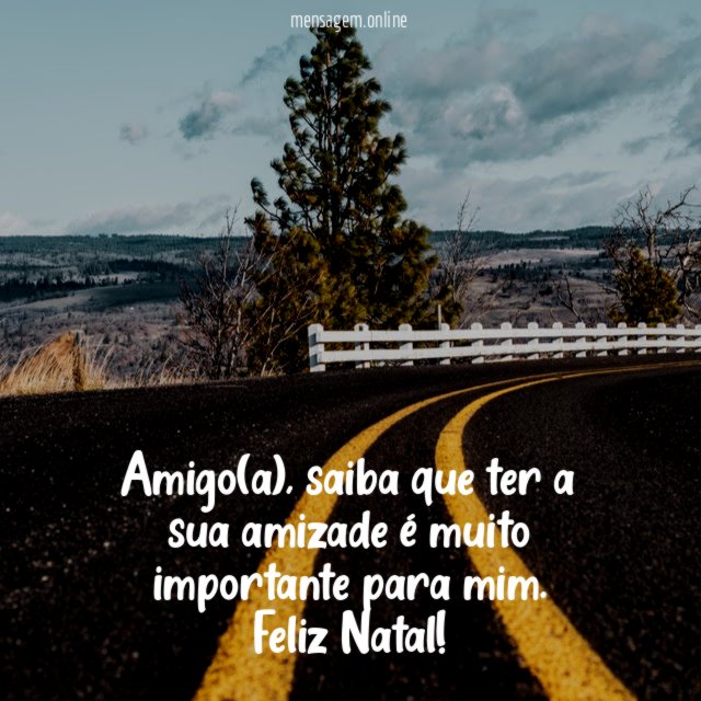 Amigo(a)