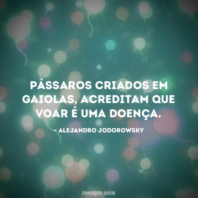 Pássaros criados em gaiolas