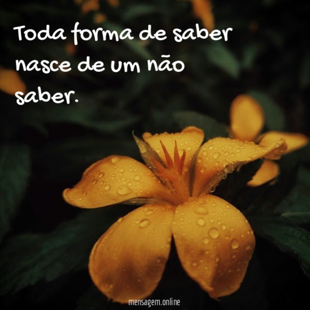 Toda forma de saber nasce de um não saber