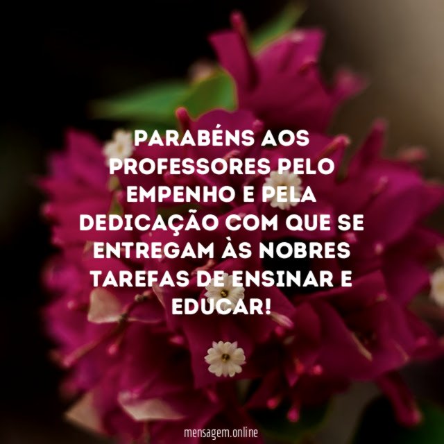 Parabéns aos professores pelo empenho e pela dedicação