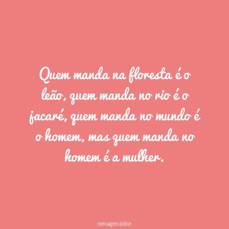 Quem manda na floresta é o leão