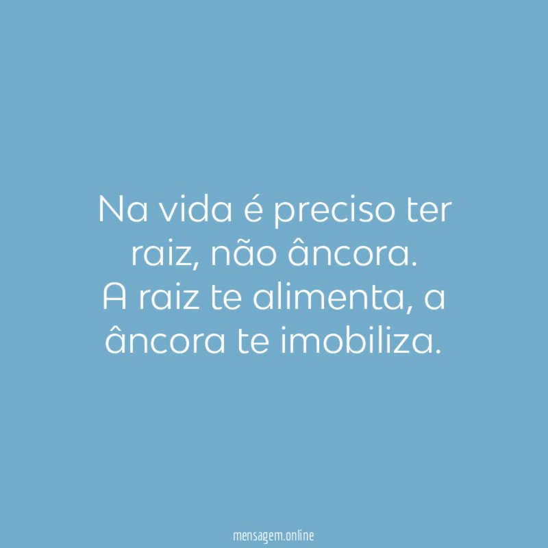 Na vida é preciso ter raiz
