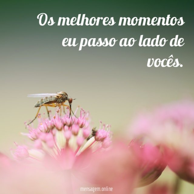Os melhores momentos eu passo ao lado de vocês