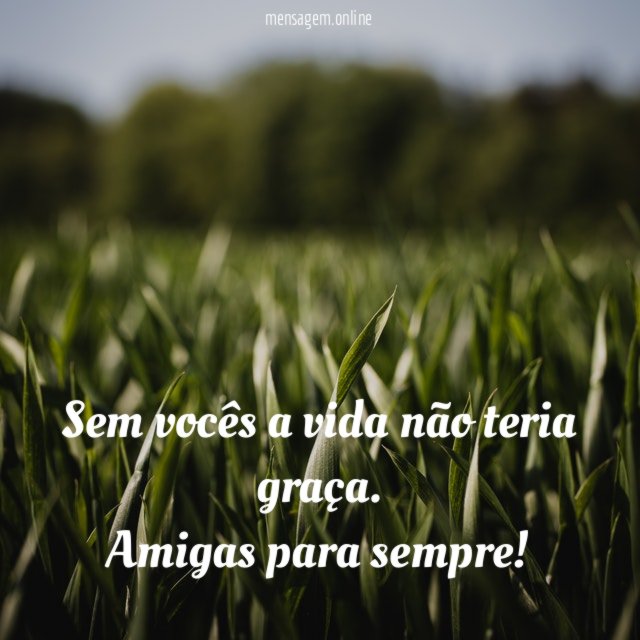 Sem vocês a vida não teria graça