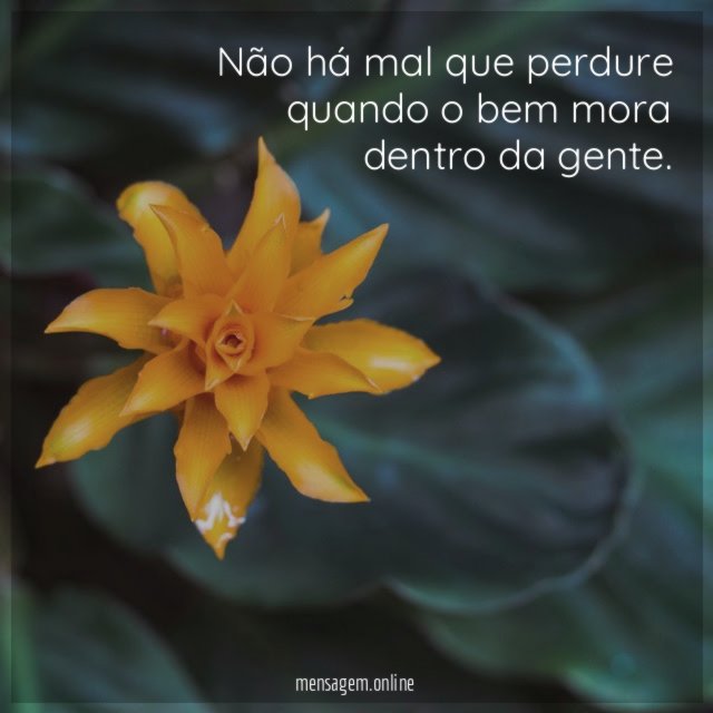 Não há mal que perdure quando o bem