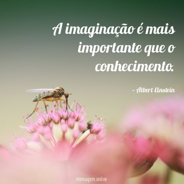 A imaginação é mais importante que o conhecimento