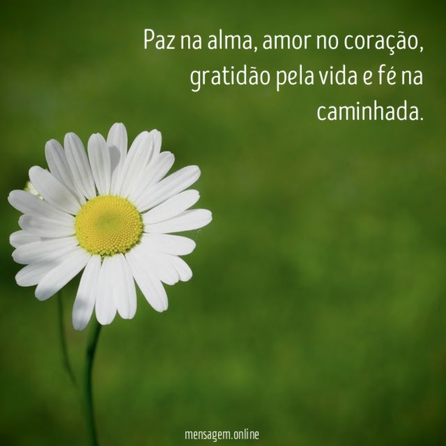 Paz na alma