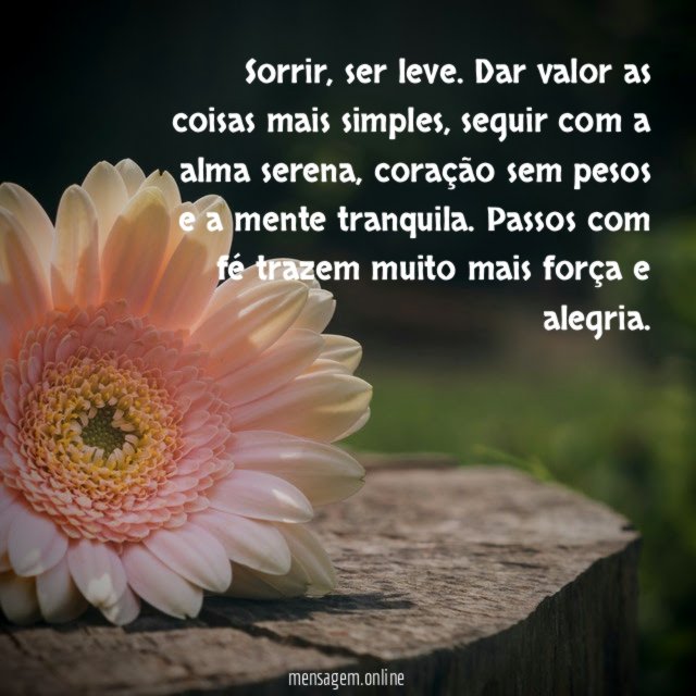 Sorrir