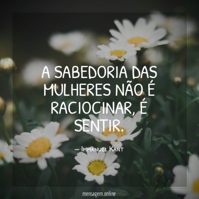 A sabedoria das mulheres não é raciocinar