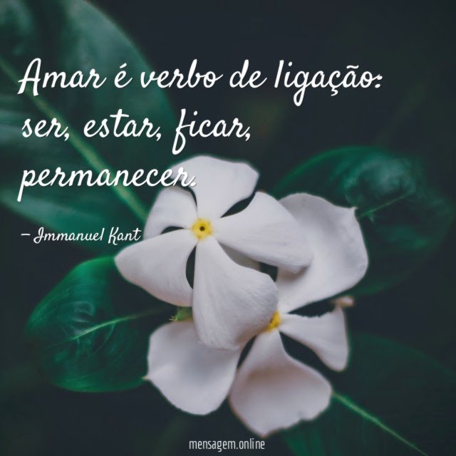 Amar é verbo de ligação