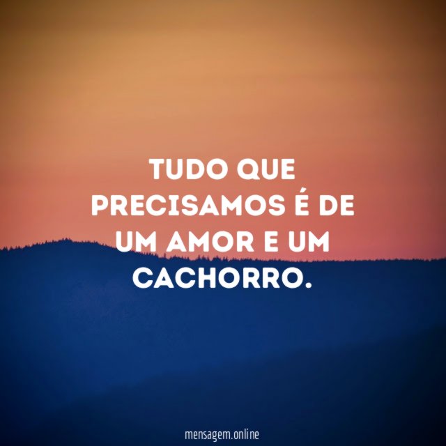 Tudo que precisamos é de um amor e um cachorro