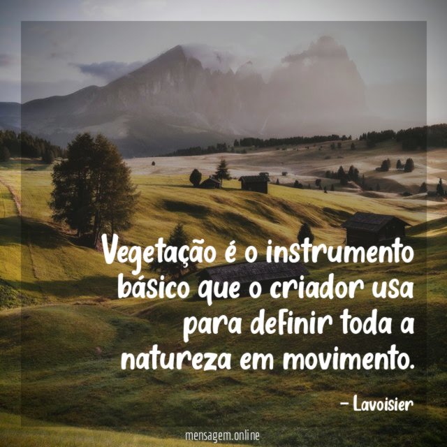 Vegetação é o instrumento básico que o criador