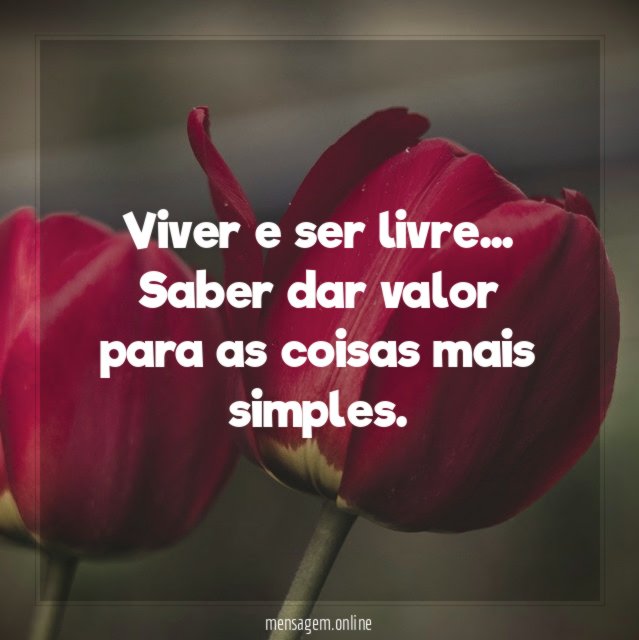 Viver e ser livre
