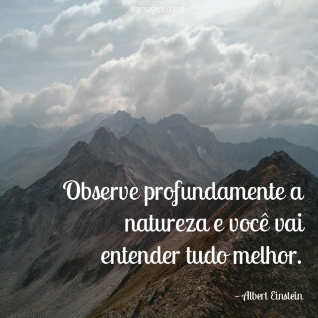 Observe profundamente a natureza e você vai entender tudo melhor