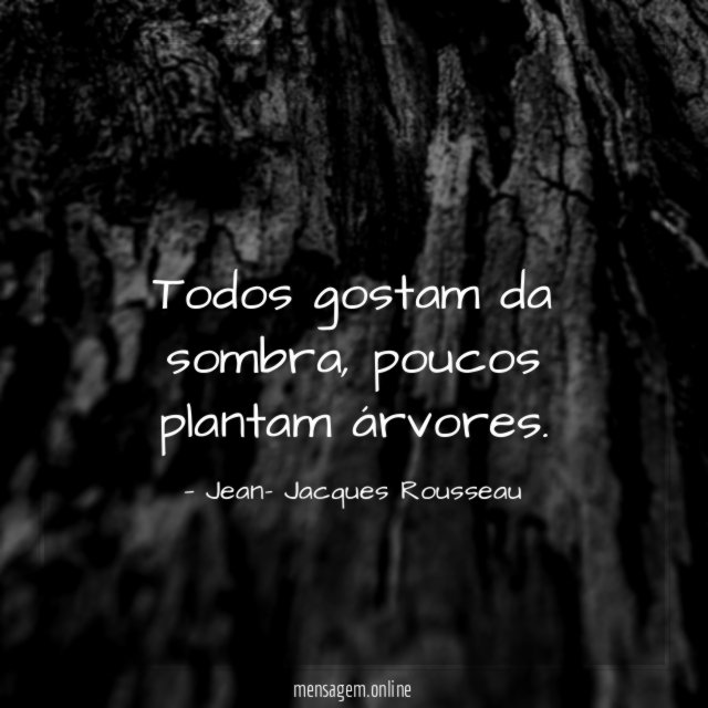 Todos gostam da sombra