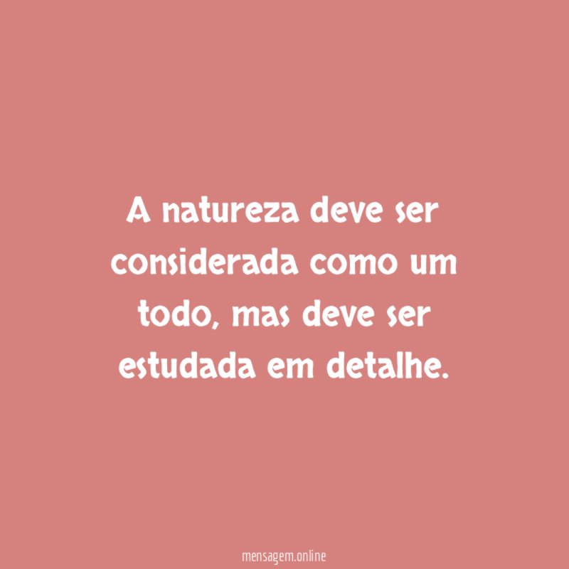 A natureza deve ser considerada como um todo