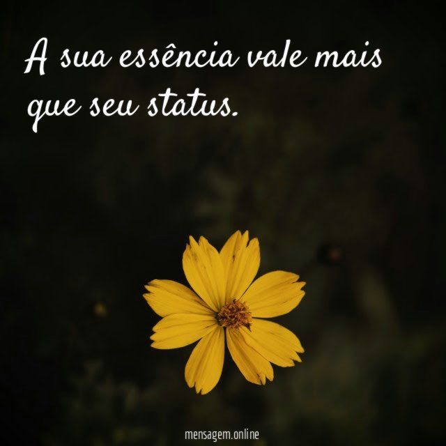 A sua essência vale mais que seu status