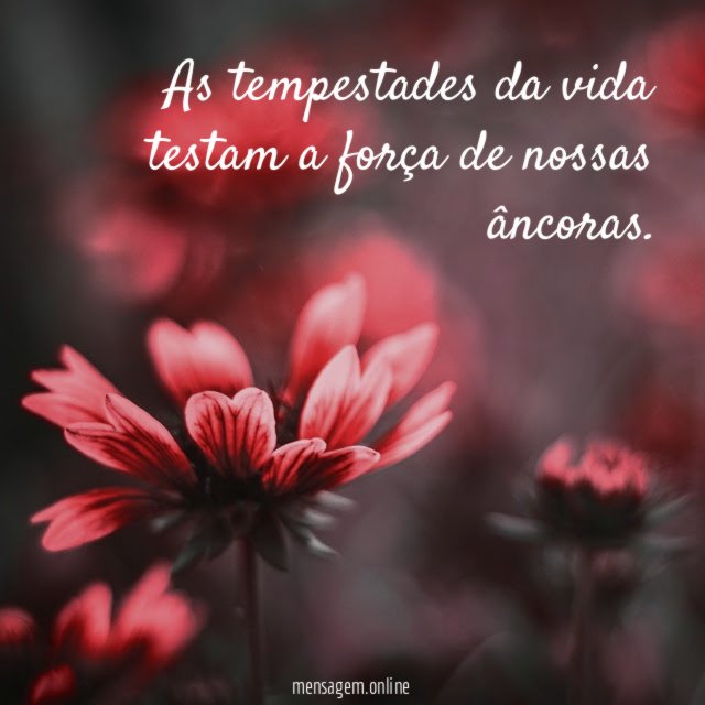 As tempestades da vida testam a força de nossas âncoras