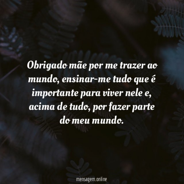 Obrigado mãe por me trazer ao mundo