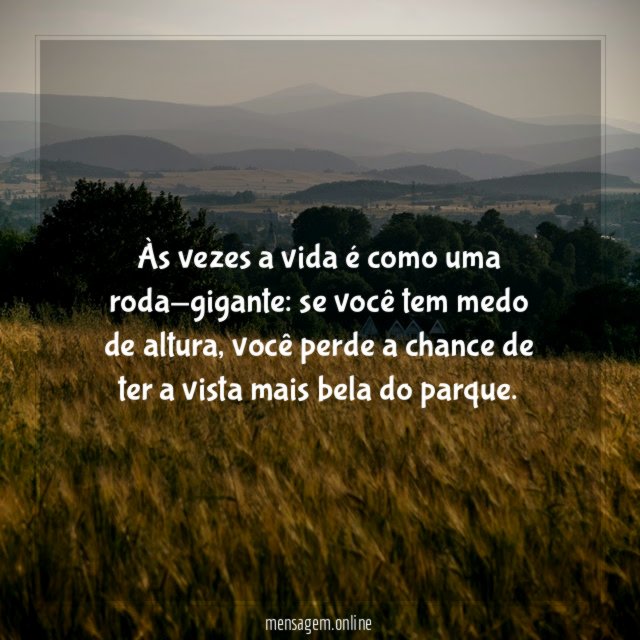 Às vezes a vida é como uma roda-gigante